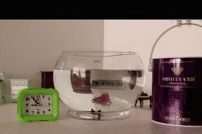 水利萬物而不爭 水電工程監(jiān)理的智慧與擔(dān)當(dāng)