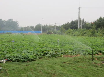 水利部產(chǎn)品質(zhì)量監(jiān)督總站與中國水利企業(yè)協(xié)會機(jī)械分會的角色及其對水利機(jī)械產(chǎn)業(yè)發(fā)展的影響