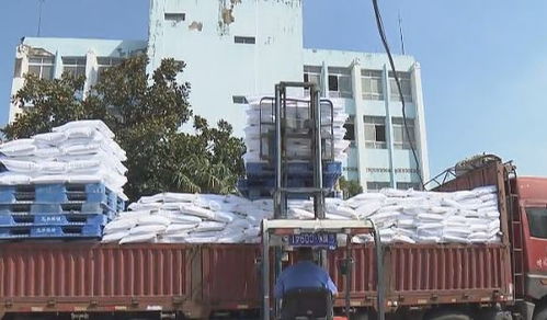 懷遠農產品香飄全國，水利建設鑄就豐收基石